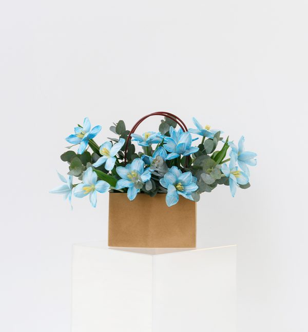 Mini Floral Collection Breezy Blue